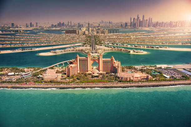 Understanding Property Market Trends in Dubai